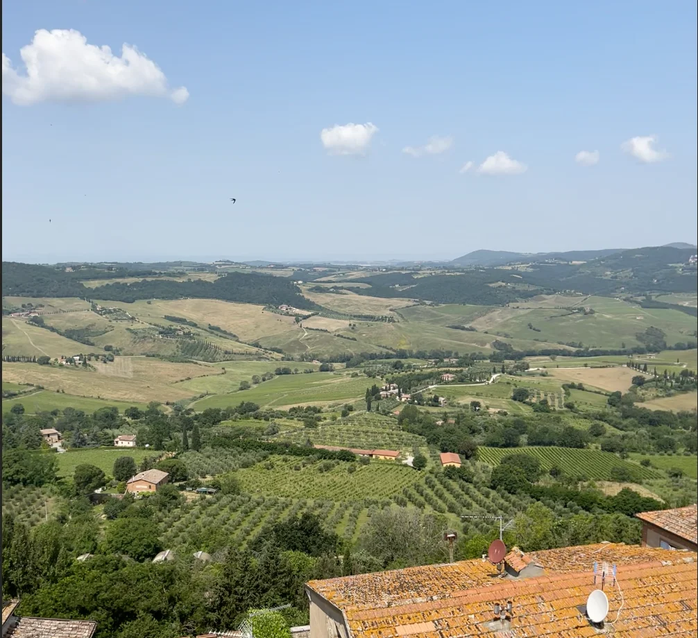 Panoramic view of rolling Tuscan hills and vineyards from Pienza