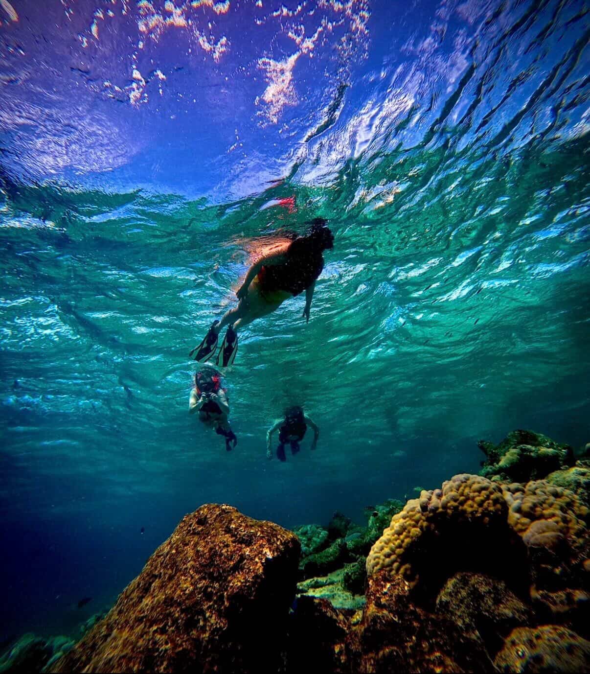 Snorkeling in the Maldives reef